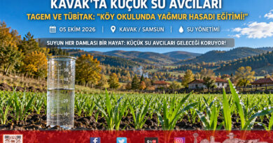 Kavak Çakallı Köyü’nde “Küçük Su Avcıları” Görevde: TÜBİTAK ve TAGEM’den Köy Okulunda Yağmur Suyu Hasadı Seferberliği!…