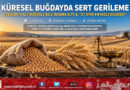Küresel Buğday Piyasasında Sert Fren: Fiyatlar Eylülde %12,7 Düşerek 27 Ayın En Hızlı Gerilemesini Yaşadı!…