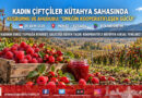 Eskişehirli Kadın Çiftçiler Kütahya’da Sahaya İndi: Kuşburnu, Ahududu ve Kooperatifçilik İncelemesi!…