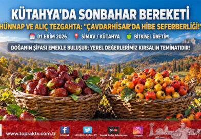 Kütahya’da Sonbahar Bereketi: Simav Hünnabı ve Dağ Alıcı Tezgâhlara İndi, Çavdarhisar’da Kırsal Kalkınma Hibeleri Üreticiyle Buluştu!…