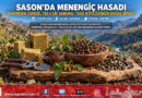 Sason Dağlarında Menengiç Bereketi: Ormandan Sofraya Kahve, Çitlembik ve 750 ₺’lik Doğal Bıttım Sabunu!…