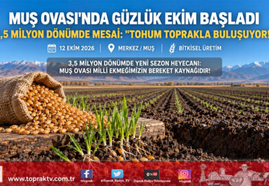 Türkiye’nin Üçüncü Büyük Ovasında Tohum Toprakla Buluştu: Muş’ta Güzlük Buğday Ekimi Başladı!…