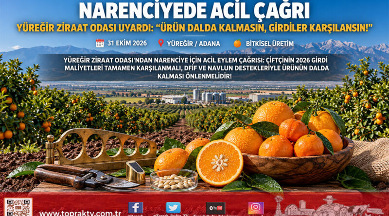 Çukurova’da Narenciye İmdat Veriyor: Yüreğir Ziraat Odası’ndan “Ürün Dalda Kalmasın, Girdiler Karşılansın” Çağrısı!…
