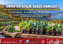 Karadeniz’de Kışlık Sebze Seferberliği: Ordu’da TAKE Projesiyle Üreticilere 300 Bin Fide Dağıtıldı!…