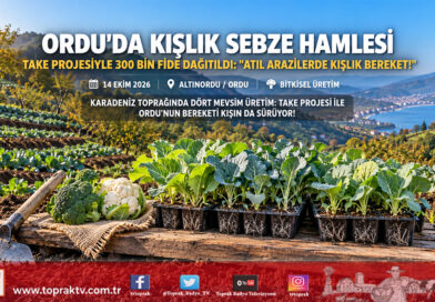Karadeniz’de Kışlık Sebze Seferberliği: Ordu’da TAKE Projesiyle Üreticilere 300 Bin Fide Dağıtıldı!…