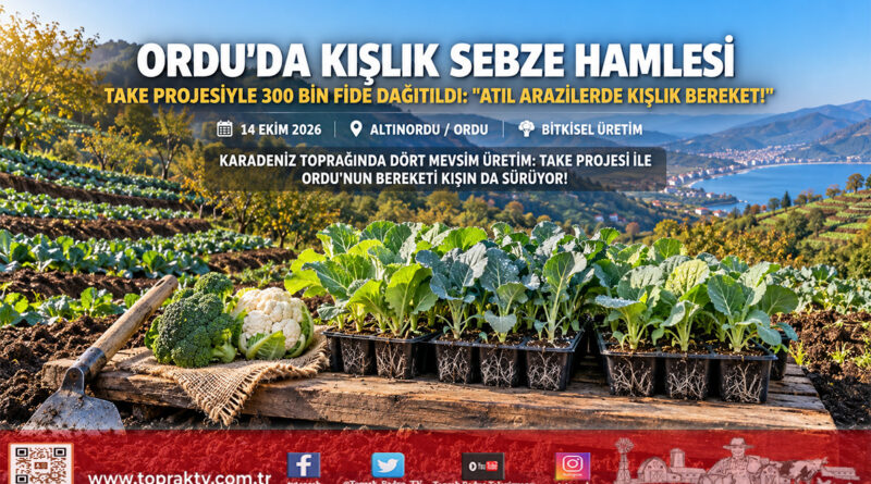Karadeniz’de Kışlık Sebze Seferberliği: Ordu’da TAKE Projesiyle Üreticilere 300 Bin Fide Dağıtıldı!…