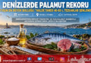 Denizlerde 40 Yılın Rekoru: Karadeniz ve Boğazlar Palamutla Taştı, Halde Tanesi 40-60 ₺!…
