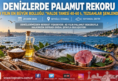 Denizlerde 40 Yılın Rekoru: Karadeniz ve Boğazlar Palamutla Taştı, Halde Tanesi 40-60 ₺!…