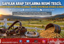 Kütahya’da Safkan Arap Tayları Kayıt Altına Alındı: Soy Kütüğü ve Tescil İşlemleri Tamamlandı!…
