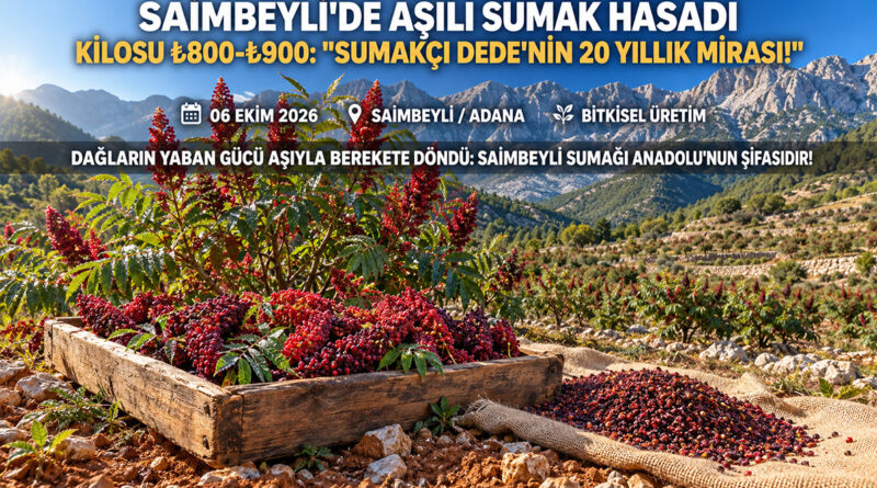 “Sumakçı Dede”nin 20 Yıllık Mirası Dağları Yeşertti: Saimbeyli’de Yabani Ağaçlar Aşılandı, Kilosu ₺900’den Alıcı Buluyor!…