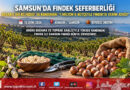 Samsun’da Fındıkta Verim ve Randıman Seferberliği: 1 Milyon ₺ Bütçeli FINDEK Projesi Sahada Başladı!…