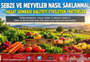Sebze ve Meyveler Nasıl Saklanmalı? Hasat Sonrası Kaliteyi Etkileyen Faktörler…