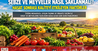 Sebze ve Meyveler Nasıl Saklanmalı? Hasat Sonrası Kaliteyi Etkileyen Faktörler…