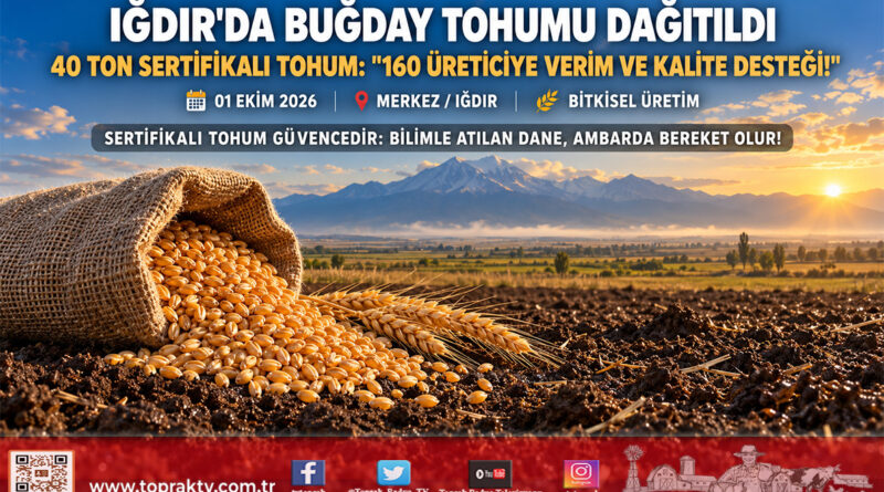 Iğdır’da 40 Ton Sertifikalı Buğday Tohumu Toprakla Buluşuyor: 160 Üreticiye Anlamlı Destek!…