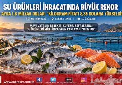 Mavi Vatan’dan Küresel Sofralara Rekor İhracat: Su Ürünleri Dış Satımı 9 Ayda 1,8 Milyar Dolara Ulaştı!…