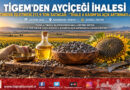 TİGEM Altınova Tarım İşletmesi’nden İhale İlanı: 211,9 Ton Yağlık Ayçiçeği Açık Artırmayla Satışa Çıkıyor!…