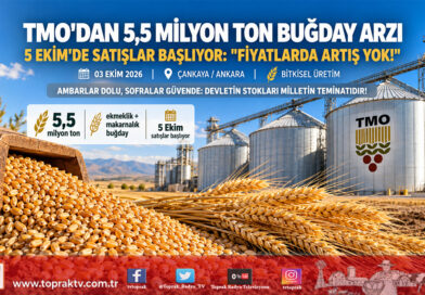 TMO’dan Piyasalara 5,5 Milyon Tonluk Dev Buğday Hamlesi: 5 Ekim’de Satışlar Başlıyor!…