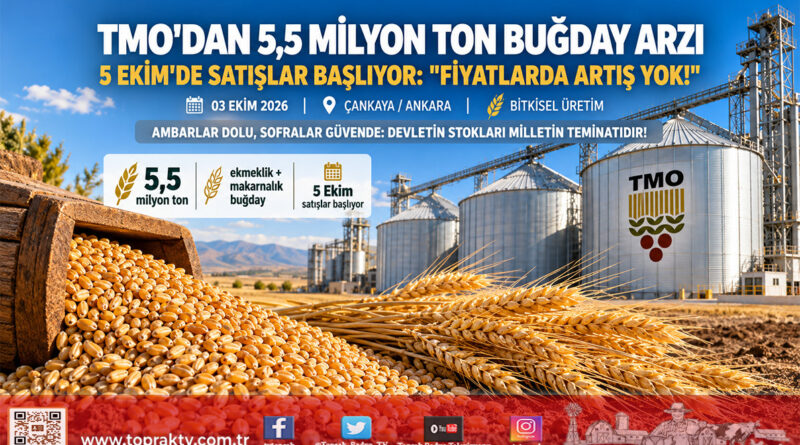TMO’dan Piyasalara 5,5 Milyon Tonluk Dev Buğday Hamlesi: 5 Ekim’de Satışlar Başlıyor!…