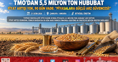 TMO Hububatta Piyasaya 5,5 Milyon Ton Ürün Arz Ediyor: Fiyat Artışı Yok, 1 Milyon Ton Yemlik Buğdaya 90 Gün Vade İmkanı!…
