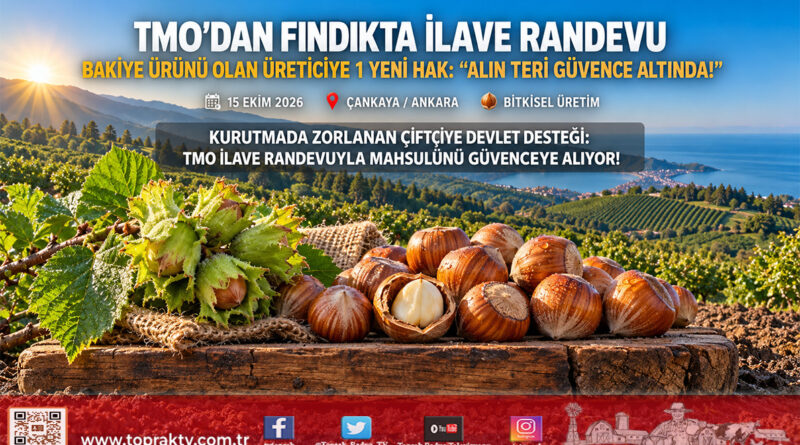TMO’dan Fındık Üreticisine Müjde: Kurutmada Zorlanan Çiftçiye 1 Adet İlave Randevu Hakkı Tanındı!…