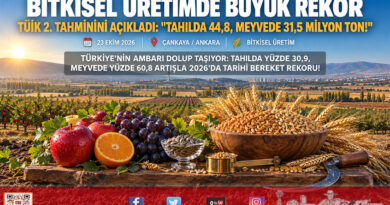 TÜİK 2026 2. Tahminini Açıkladı: Tahılda Yüzde 30,9, Meyvede Yüzde 60,8 Artış; Buğday 24,8 Milyon Ton!…