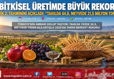 TÜİK 2026 2. Tahminini Açıkladı: Tahılda Yüzde 30,9, Meyvede Yüzde 60,8 Artış; Buğday 24,8 Milyon Ton!…