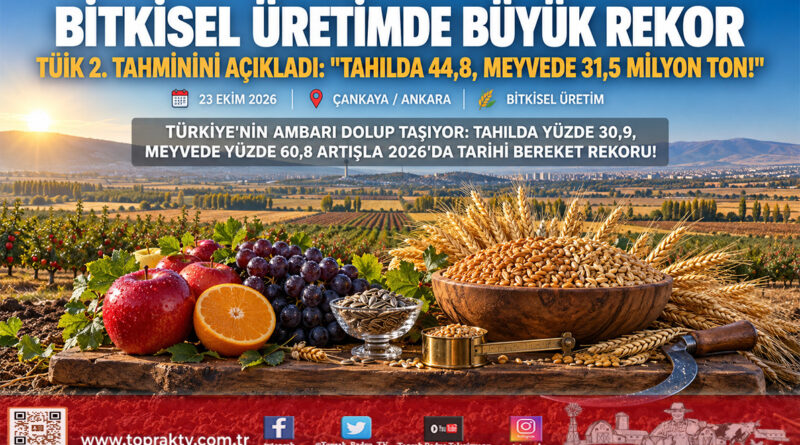 TÜİK 2026 2. Tahminini Açıkladı: Tahılda Yüzde 30,9, Meyvede Yüzde 60,8 Artış; Buğday 24,8 Milyon Ton!…