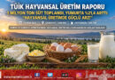 TÜİK Hayvansal Üretim Verilerini Açıkladı: Sanayiye 1 Milyon Tonu Aşkın Süt Gitti, Yumurta Üretimi Yıllık %21,4 Arttı!…