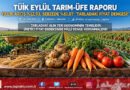 TÜİK Eylül Ayı Tarım-ÜFE Raporunu Duyurdu: Yıllık Artış %12,93 Oldu, Sebzede Zirve %61,07!…