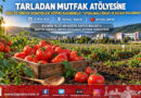 Üniversite Tarlasından Mutfak Atölyesine: BŞEÜ’nün TÜBİTAK Projesiyle Üretilen Domatesler Aşçılık Öğrencilerine Uygulamalı Eğitim Oldu!…