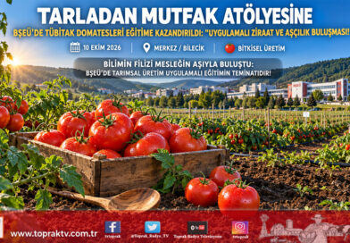 Üniversite Tarlasından Mutfak Atölyesine: BŞEÜ’nün TÜBİTAK Projesiyle Üretilen Domatesler Aşçılık Öğrencilerine Uygulamalı Eğitim Oldu!…
