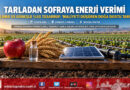 Tarladan Sofraya Enerji Kalkanı: FAO Türkiye, Damla Sulama ve Güneş Enerjisiyle %50 Tasarruf Raporunu Açıkladı!…