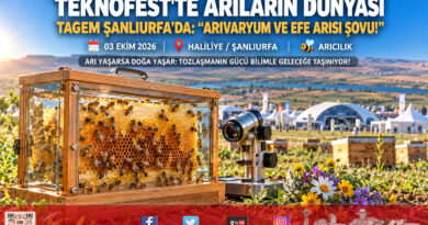 TEKNOFEST 2026 Şanlıurfa’da Arıların Büyüleyici Dünyası: TAGEM ve Ege Tarımsal Araştırma Enstitüsü’nden Bilim Şovu!…