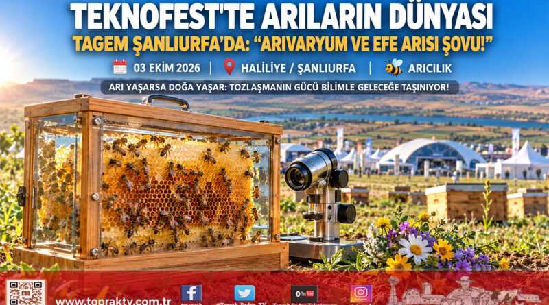 TEKNOFEST 2026 Şanlıurfa’da Arıların Büyüleyici Dünyası: TAGEM ve Ege Tarımsal Araştırma Enstitüsü’nden Bilim Şovu!…
