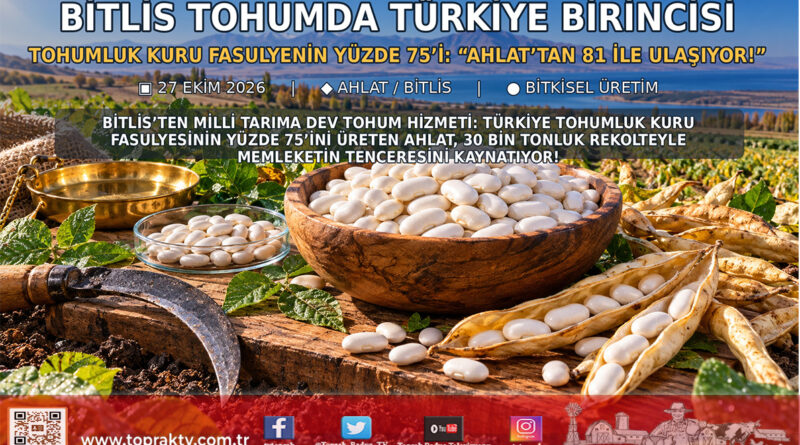 Bitlis Tohumluk Kuru Fasulyede Türkiye Şampiyonu: Ülke Tohumunun Yüzde 75’ini Karşılıyor, Yemeklikte 30 Bin Tonla Zirvede!…
