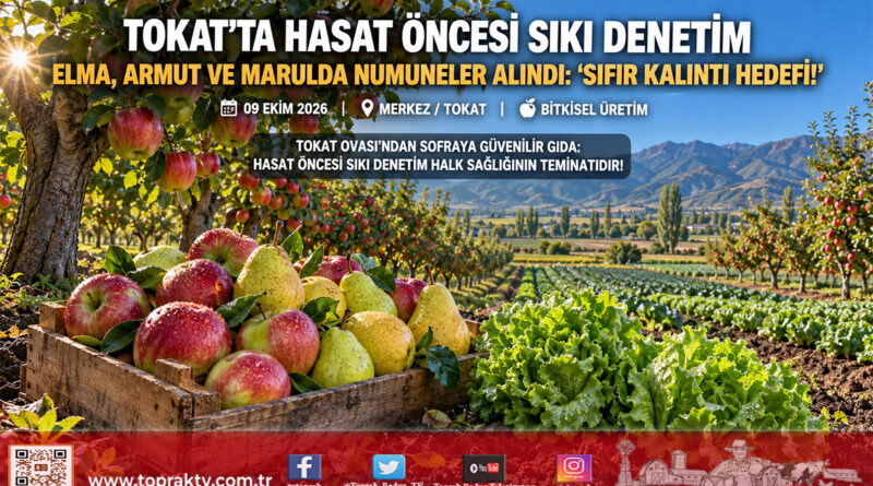 Tokat Bahçelerinde Sıfır Kalıntı Seferberliği: Elma, Armut ve Marulda Hasat Öncesi Pestisit Denetimi Başladı!…