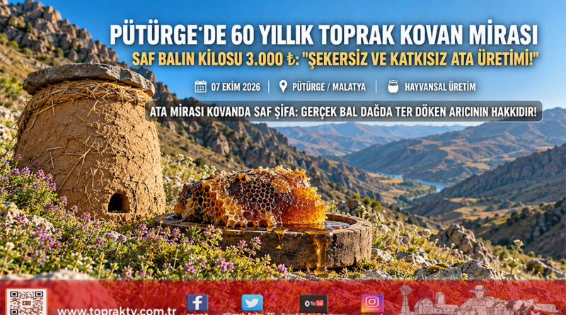 Pütürge Dağlarında 60 Yıllık Kadim Miras: Mecit Yüksel Toprak Kovanlarda Şekersiz Bal Üretiyor, Kilosu 3.000 ₺!…