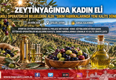 Zeytinyağında Kadın Eli Aydın’da Güçleniyor: Eğitimleri Tamamlayan Kadın Operatörler Mesleki Yeterlilik Belgelerine Kavuştu!…